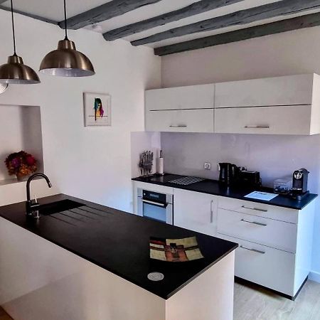 Appartement De Charme Au Coeur De La Vieille Ville Annecy Extérieur photo